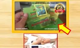 0878-8005-8622 Obat Kolesterol Dan Asam Urat Tinggi Di Apotik Di Kota Palu