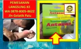 0878-8005-8622 Obat Asam Urat Buat Ibu Menyusui Di Kota Palu