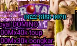 Link Ready Open Siap Tampung Koin