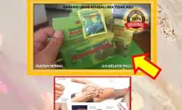 Wa: 0878-8005-8622 Obat Asam Urat Apotik Di Kota Palu