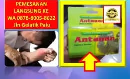 Wa: 0878-8005-8622 Obat Asam Urat Tong Mai Dan Di Kota Palu