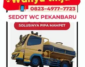 Sedot Wc Mampet Pekanbaru