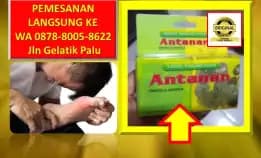 0878-8005-8622 Obat Kolesterol Alami Tradisional Zaidul Akbar Di Kota Palu