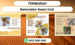 Termurah, 0822-2000-3882 Distributor Samurat En Asam Urat Makale