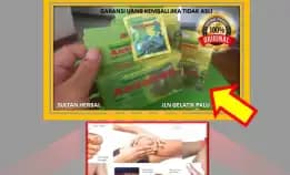 Wa: 0878-8005-8622 Obat Asam Urat Fase Akut Di Kota Palu