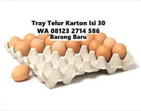 Wadah Telur Kertas Kualitas No.1 Penebel Tabanan Bali (128)