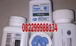 Jual Obat Kuat Viagra Asli Di Sawah Besar Cod 082299988134 Toko Obat Kuat Viagra Asli Di Sawah Besar