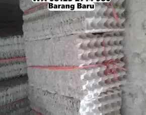 Tempat Telur Kardus Harga Hemat Penebel Tabanan Bali (138)