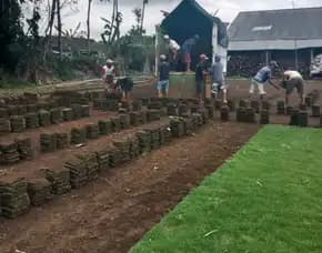 Rumput Jepang Kota Pasuruan Terdekat