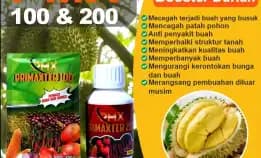 Pmx 100& 200 Primaxter  0822-3125-0851 (Bu Putri) Supplier Pupuk Cair Organik Untuk Makanan Tanaman  Bangkalan Pasuruan