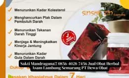 Sakti Mandraguna!! 0856-4028-7456 Jual Obat Herbal Asam Lambung Semarang Pt Dewa Obat