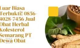 Luar Biasa Terbukti! 0856-4028-7456 Jual Obat Herbal Kolesterol Semarang Pt Dewa Obat