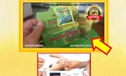 Obat Kolesterol Qnc Jelly Gamat Di Kota Palu