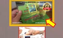 0878-8005-8622 Obat Alami Kolesterol Tinggi Dr Zaidul Akbar Di Kota Palu