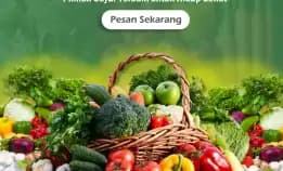 Beli Sayur Premium Di Malang: Menemukan Kualitas Dan Kesegaran Terbaik