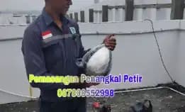 Agen Pasang Penangkal Petir Terdekat Kelapa Gading [] Jakarta Utara