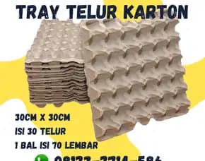 Rak Telor Bukan Bekas (Tray Telur) - Solusi Tepat Kirim Ke Labuapi Lombok Barat (45)