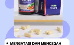 Tanpa Efek Samping 0851-1708-5540 Penyedia Obat Asam Urat Pil Untuk Sakit Pangkal Kota Tomohon Jakarta Sendifit