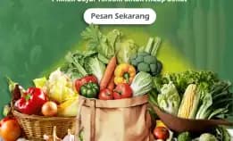 Tempat Belanja Sayur Premium Di Malang: Pilihan Terbaik Untuk Bahan Segar Dan Berkualitas