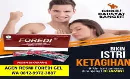 Terlaris 0857-1619-4600 Wa, Agen Foredi Bekasi