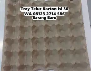 Karpet Telur Kertas Karton Tahan Lama No.1 Selemadeg Timur Tabanan Bali (142)