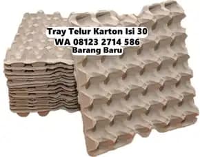 Rak Telor Kertas Karton Promo Akhir Tahun Pupuan Tabanan Bali (160)