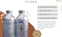 Wa 0822 5779 8200 Jual Bibit Parfum Luzi  Nduga