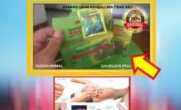 0878-8005-8622 Obat Untuk Kolesterol Tinggi Alami Di Kota Palu