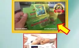 0878-8005-8622 Obat Kolesterol Untuk Bumil Di Kota Palu