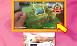 Wa: 0878-8005-8622 Obat Kolesterol Adalah Di Kota Palu