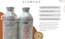 Grosir Bibit Parfum Luzi Kota Binjai