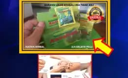 Wa: 0878-8005-8622 Obat Asam Urat Adalah Di Kota Palu