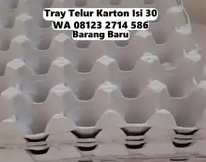 Nampan Telur Kertas Karton Eco-Friendly Selemadeg Tabanan Bali (71)