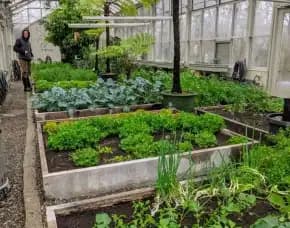 Jasa Pembuatan Greenhouse Terpercaya, , Gondang Wetan, Pasuruan