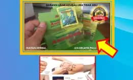 Wa: 0878-8005-8622 Obat Asam Urat Tinggi Di Kota Palu