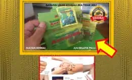 0878-8005-8622 Obat Asam Urat Ringan Di Kota Palu