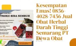 Kesempatan Emas! 0856-4028-7456 Jual Obat Herbal Darah Tinggi Semarang Pt Dewa Obat