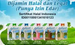 0812-1567-8455 Supplier Susu Kambing Etawa Syifagoat Di Pamekasan Trenggalek