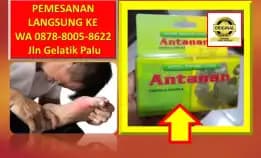 0878-8005-8622 Obat Kolesterol Tinggi Paling Ampuh Di Apotik Di Kota Palu