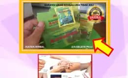 Wa: 0878-8005-8622 Obat Asam Urat Untuk Orang Tua Di Kota Palu