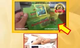 0878-8005-8622 Obat Asam Urat Lansia Di Kota Palu