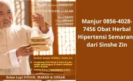 Manjur 0856-4028-7456 Obat Herbal Hipertensi Semarang Dari Sinshe Zin