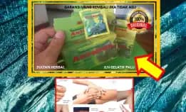 0878-8005-8622 Obat Kolesterol Rendah Di Kota Palu