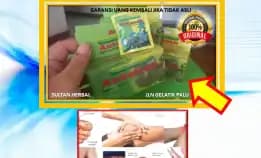 0878-8005-8622 Obat Batuk Dan Kolesterol Alami Di Kota Palu