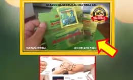 0878-8005-8622 Obat Penurun Kolesterol Dalam 5 Hari Di Kota Palu