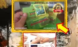 0878-8005-8622 Obat Kolesterol Ibu Hamil Di Kota Palu