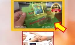 0878-8005-8622 Obat Penurun Kolesterol Yang Alami Di Kota Palu