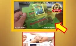 0878-8005-8622 Obat Alami Menurunkan Kolesterol Saat Hamil Di Kota Palu