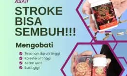 Kekuatan Herbal 0856-4028-7456 Jual Obat Herbal Kolesterol Semarang Pt Dewa Obat