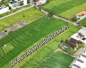 Dikontrakan 24 Are, Jl. Pantai Mengening Cemagi Pantai Seseh Mengwi Badung